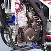 Мотоцикл Regulmoto CR-Z 300 (Красный, , 300001-1)